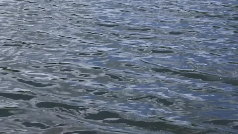 Calm blue water surface with gentle ripples moving across tranquil lake Stock Footage 310482879