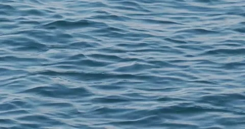 Calm Blue Water Surface Ripples Moving Gently in Natural Daylight Stock Footage 342003444