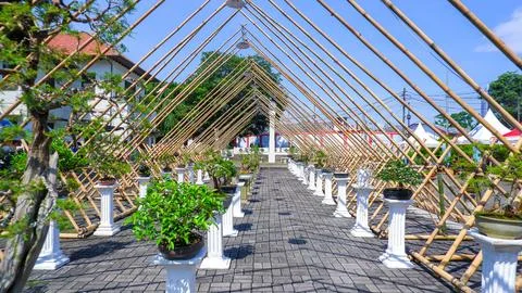Calm Bonsai Botanical Garden With Triangular Bamboo Structure 库存照片