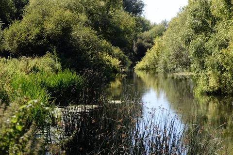 Calm British Riverside 写真素材