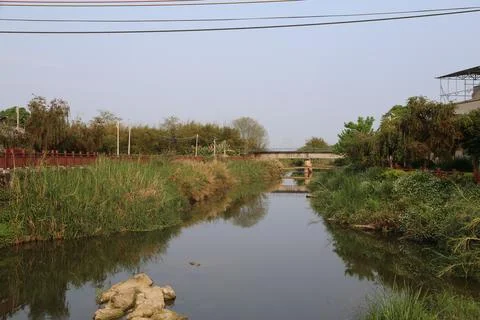 Calm canal bordered by dense vegetation and small bridges Stock Photos