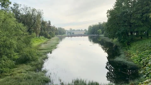 A calm canal reflects green trees in a quiet park. Video stock 344983399