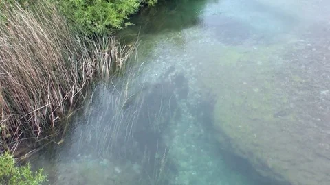 Calm clean water in mountain river relax in Patagonia Argentina. Stock Footage