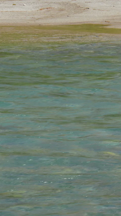 Calm Clear River by Sandy Shore Close Up Vertical Video 스톡 동영상 346001462