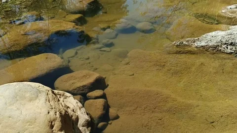 Calm clear stream flowing gently over smooth moss-covered rocks Video stock 344429024