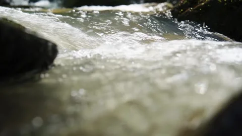Calm, clear stream water flows gently around moss-covered stones 스톡 동영상 335815067