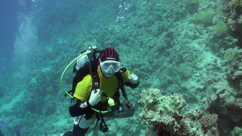 Calm, clear water creates stunning setting for group of divers in gear. Stock Footage 236808697