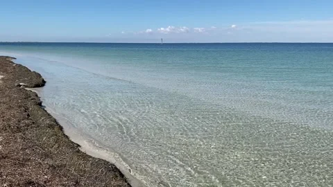 Calm clear water Stock Footage 156164670