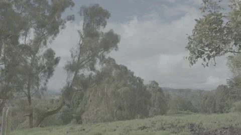 Calm cold and cloudy landscape Stock Footage 220523408