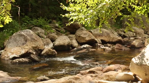 CALM CREEK Stock Footage 178497475