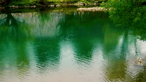 Calm crystal green river water passing along remains of old fortress Stock Footage 140430853