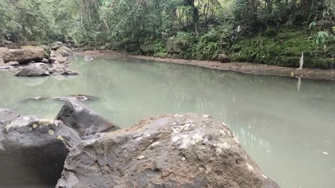 Calm current river with lots of rocks Видео 209149362