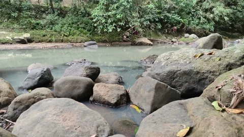 Calm current river with lots of rocks 库存影片 209149377