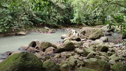 Calm current river with lots of rocks 库存影片 209149382