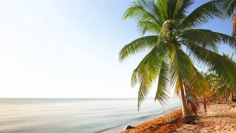 Calm Daylight Scene from the Beach Stock Footage 74004587