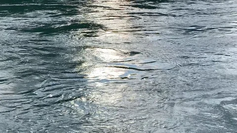 Calm but deliberately moving stream Stock Footage 113861599