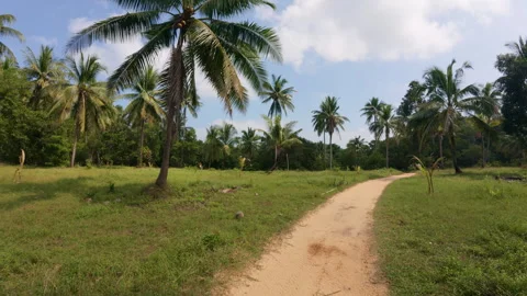 A calm dirt path in Phuket Stock Footage 310573785