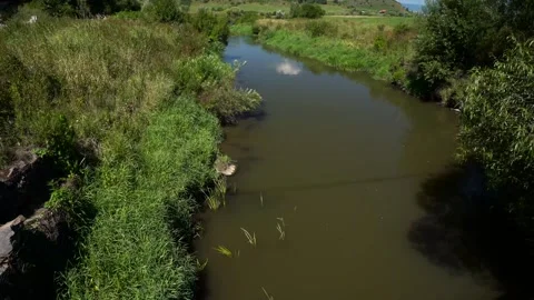 Calm, dirty Olt river at summertime Stock Footage 314599536