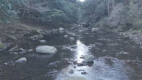 Calm Drone Flight Up Peaceful Forest Stream – Mountain River Nature 4K Stock Footage 325410972