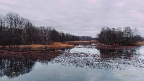Calm Drone Flight: Winter Landscape, Reflections, Foggy Stock Footage 323330926