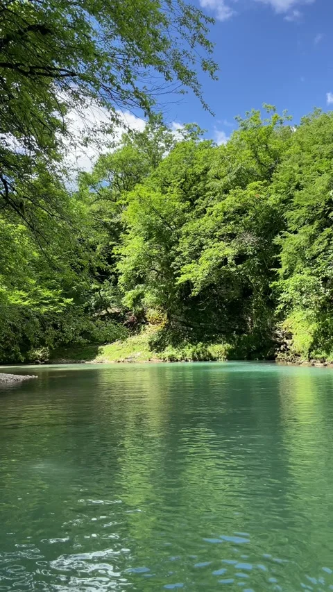 Calm emerald river reflects bright summer trees along a peaceful forest ban.. Stock Footage 341258655