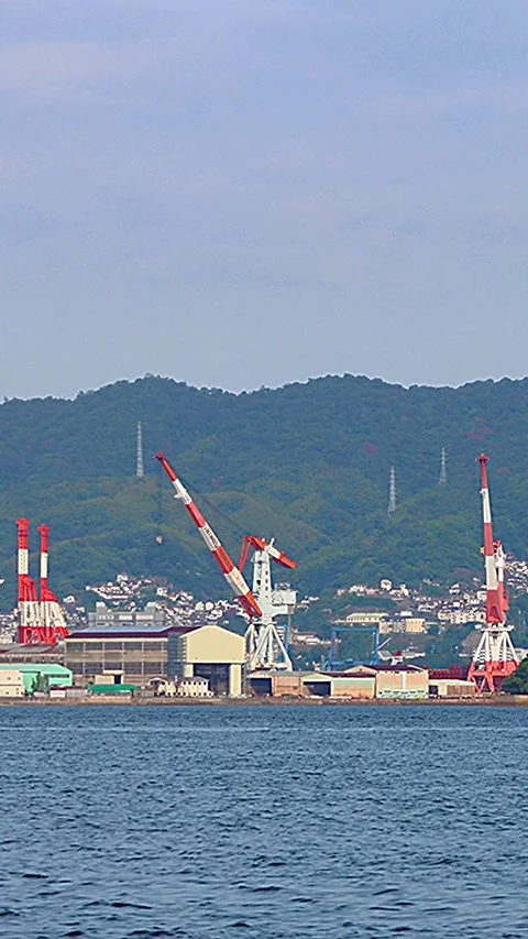 Calm Everyday Scenery of Setouchi with Cranes Viewed from Pier,Vertical 库存影片 342824565