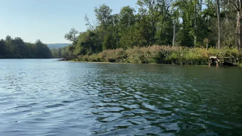 Calm floating Aare river in riparian forest at late summer day. Stock Footage 139513249