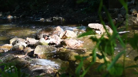 Calm flow in a mountain stream with a stone threshold and sunlight. Stock Footage 199657048