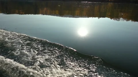 Calm flow of the river against the background of a golden autumn forest Stock Footage 141656700