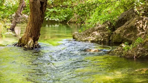 Calm flow of the river between rocks and trees Stock-Footage 80996753