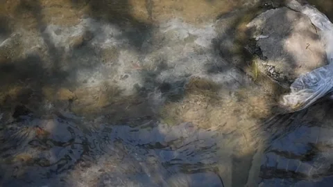 The calm flow of this river is dirty Video stock 304303847