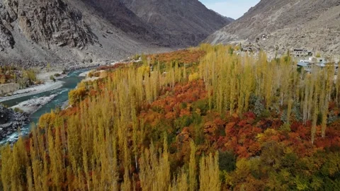 The calm flow of a river framed by trees in golden fall bloom. Stock Footage 310782520