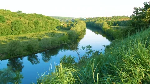 Calm flow of the river. Wild flowers on the slope of the river bank. Stock Footage 305241683