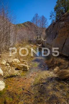 Calm flowing creek through valley Stock Photos