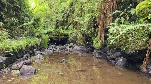 Calm flowing River Stockbeeldmateriaal 145370713