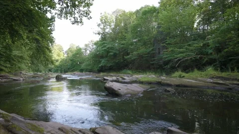Calm flowing river through a forest setting Stock Footage 157992497