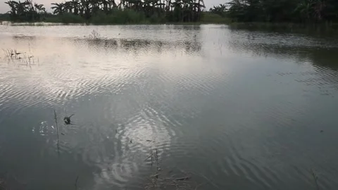 Calm flowing water Stock Footage 330209736