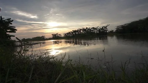 Calm flowing water Video stock 330209800