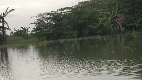 Calm flowing water Stock Footage 330209817
