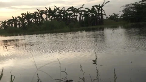 Calm flowing water Video stock 330209818