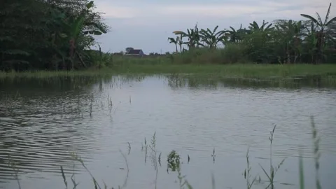 Calm flowing water Video stock 330209857