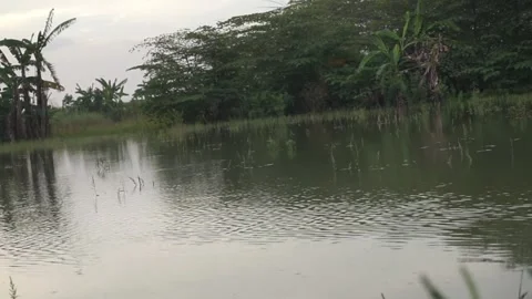 Calm flowing water Video stock 330210682