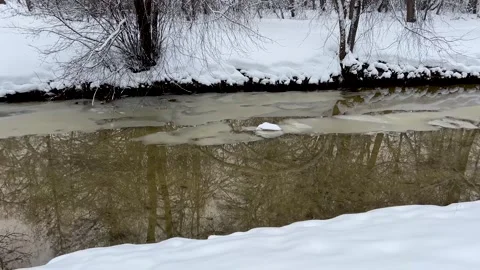 Calm, flowing winter stream with a partial layer of thin ice and reflections of Stock Footage 323533284