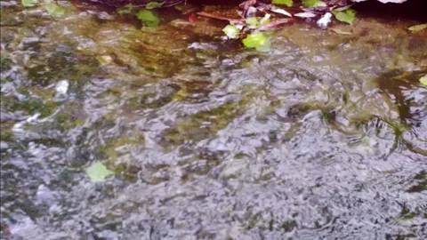 Calm Stockbeeldmateriaal 239488677