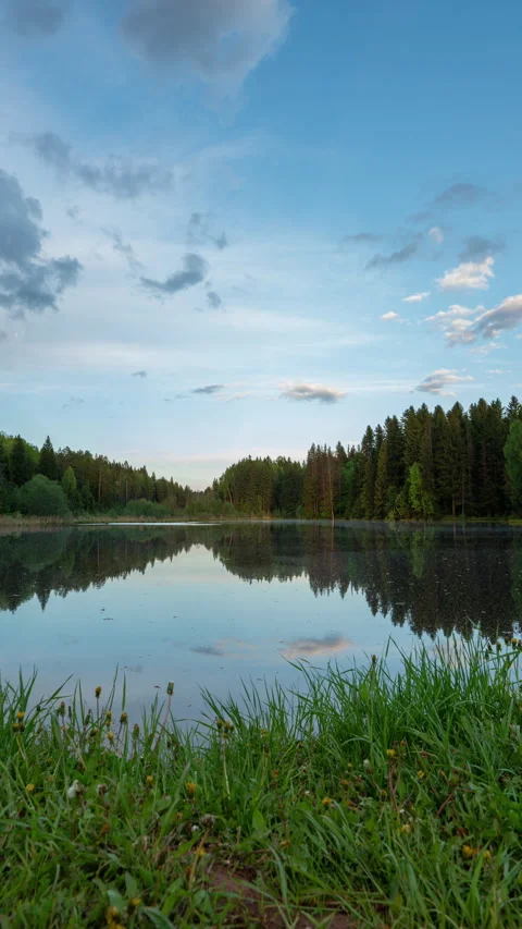 Calm forest lake with mirror reflection, soft moving clouds and natural grass Stock Footage 335335556