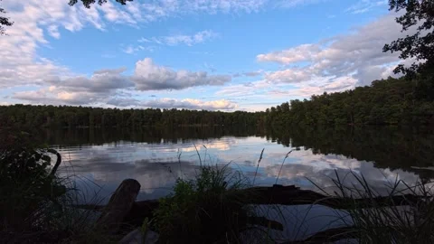 Calm Forest Lake with Perfect Reflection, Summer, Poland Video stock 342853193