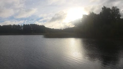 Calm Forest Lake Reflection Stock Footage 347745645