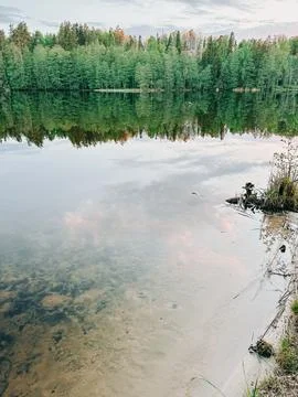 Calm Forest Lake Reflection with Sandy Shore at Sunset Stock Photos