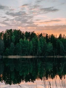 Calm Forest Lake Reflection at Sunset in Nordic Wilderness Photos