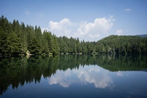 Calm forest lake with reflection under blue sky Stock Photos